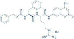 Bachem Z-Phe-Arg-AMC · HCl, Quantity: Each of 1