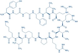 Bachem Dynorphin A (1-13), Quantity: Each of 1