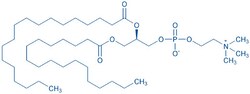 Bachem&nbsp;1,2-Distearoyl-sn-glycero-3-phosphocholine