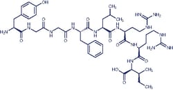 Bachem Dynorphin A (1-8) Acetate, Quantity: Each of 1