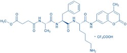 Bachem MeOSuc-Ala-Phe-Lys-AMC, Quantity: Each of 1