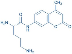 Bachem H-Orn-AMC, Quantity: Each of 1