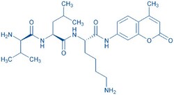 Bachem H-D-Val-Leu-Lys-AMC, Quantity: Each of 1