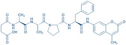 Bachem Suc-Ala-Ala-Pro-Phe-AMC, Quantity: Each of 1