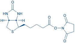 Bachem D-Biotinyl-OSu, Quantity: Each of 1