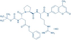Bachem Boc-Asp(OBzl)-Pro-Arg-AMC · HCl, Quantity: Each of 1