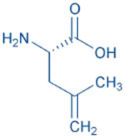 Bachem H-4,5-Dehydro-Leu-OH, Quantity: Each of 1