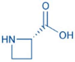 Bachem L-Azetidine-2-carboxylic acid
