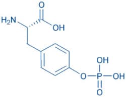 Bachem H-Tyr(PO3H2)-OH, Quantity: Each of 1