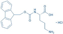 Bachem Fmoc-Orn-OH · HCl, Quantity: Each of 1