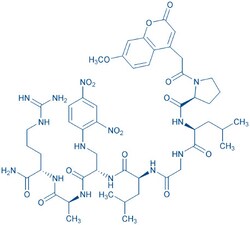 Bachem Mca-Pro-Leu-Gly-Leu-Dap(Dnp)-Ala-Arg-NH2, Quantity: Each of 1