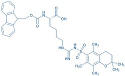 Bachem Fmoc-Homoarg(Pmc)-OH, Quantity: Each of 1