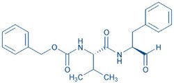 Bachem Calpain Inhibitor III, Quantity: Each of 1