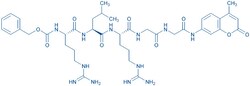 Bachem Z-Arg-Leu-Arg-Gly-Gly-AMC, Quantity: Each of 1