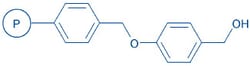 Bachem Wang resin (100-200 mesh, 0.80-1.20 mmol/g), Quantity: Each of 1