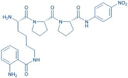 Bachem H-Lys(Abz)-Pro-Pro-pNA, Quantity: Each of 1