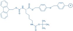 Bachem Fmoc-Lys(Boc)-Wang resin (100-200 mesh, 0.5-0.8 mmol/g), Quantity: