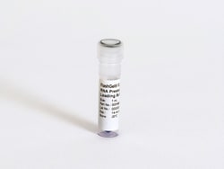 Lonza&trade;&nbsp;FlashGel&trade; FLX RNA Prestain Loading Buffer