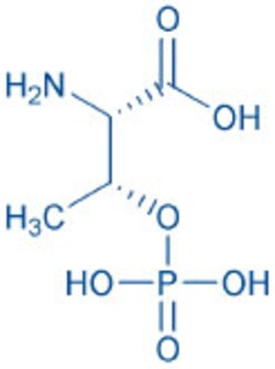 Bachem H-Thr(PO3H2)-OH, Quantity: Each of 1