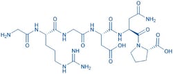 Bachem H-Gly-Arg-Gly-Asp-Asn-Pro-OH, Quantity: Each of 1