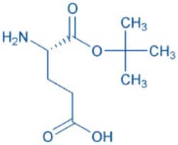 Bachem H-Glu-OtBu, Quantity: Each of 1