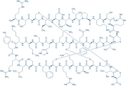 Bachem Stichodactyla helianthus Neurotoxin (ShK) Trifluoroacetate, Quantity: