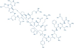 Bachem Ac-Ala-Leu-Cys-Asp-Asp-Pro-Arg-Val-Asp-Arg-Trp-Tyr-Cys-Gln-Phe-Val-Glu-Gly-NH2,