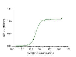 Genscript Corporation&nbsp;GM-CSF, Human (P. pastoris-expressed)