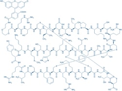Bachem&nbsp;Fluorescein-6-carbonyl-AEEAc-Arg-Ser-Cys-Ile-Asp-Thr-Ile-Pro-Lys-Ser-Arg-Cys-Thr-Ala-Phe-Gln-Cys-Lys-His-Ser-Met-Lys-Tyr-Arg-Leu-Ser-Phe-Cys-Arg-Lys-Thr-Cys-Gly-Thr-Cys-OH