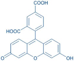 Bachem&nbsp;5-Carboxy-fluorescein