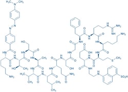 Bachem&nbsp;DABCYL-LYS-HCOV-SARS REPLIC5MG