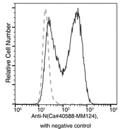 Sino Biological SARS-CoV-2 (2019-nCoV) Nucleocapsid Antibody, Mouse MAb