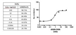 Sino Biological SARS-CoV-2 Delta Spike RBD Specific Antibody, Chimeric