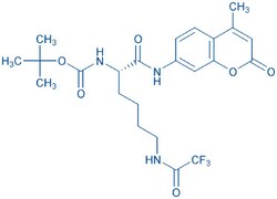 Bachem Boc-Lys(Tfa)-AMC, Quantity: Each of 1