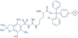 Bachem H-Arg(Pbf)-2-chlorotrityl resin (100-200 mesh, 0.50-0.90 mmol/g),