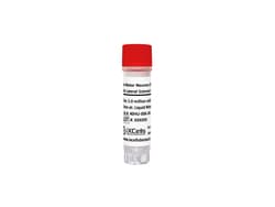iXCells Biotechnologies Human Motor Neurons iPSCderive, Quantity: Each