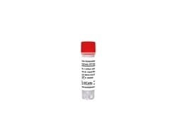 iXCells Biotechnologies&nbsp;Human Glutamatergic Neurons iP