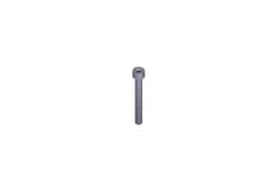 Waters Screw, M5 X 40, Skt Hd, Quantity: Each