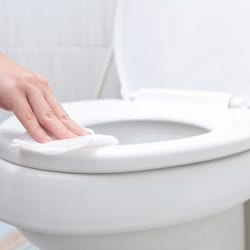 Tork Mini Toilet Seat Cleaner S5 Clear | Buy Online | Tork | Fisher Scientific