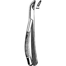 Sklar Instruments&nbsp;Forceps Sklar Microscopy Surgical   1/EA