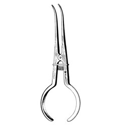 Sklar Instruments&nbsp;Forceps Sklar Microscopy Surgical   1/EA