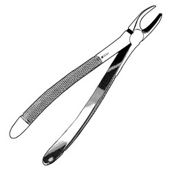 Sklar Instruments&nbsp;Forceps Sklar Microscopy Surgical   1/EA