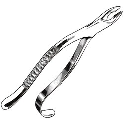 Sklar Instruments&nbsp;Forceps Sklar Microscopy Surgical   1/EA