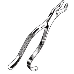 Sklar Instruments&nbsp;Forceps Sklar Microscopy Surgical   1/EA