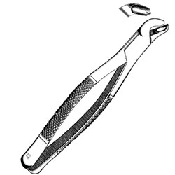 Sklar Instruments&nbsp;Forceps Sklar Microscopy Surgical   1/EA