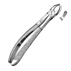 Sklar Instruments&nbsp;Forceps Sklar Microscopy Surgical   1/EA