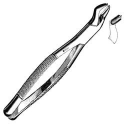 Sklar Instruments&nbsp;Forceps Sklar Microscopy Surgical   1/EA