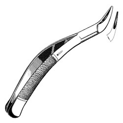 Sklar Instruments&nbsp;Forceps Sklar Microscopy Surgical   1/EA