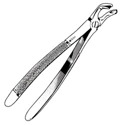 Sklar Instruments&nbsp;Forceps Sklar Microscopy Surgical   1/EA
