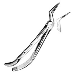 Sklar Instruments&nbsp;Forceps Sklar Microscopy Surgical   1/EA
